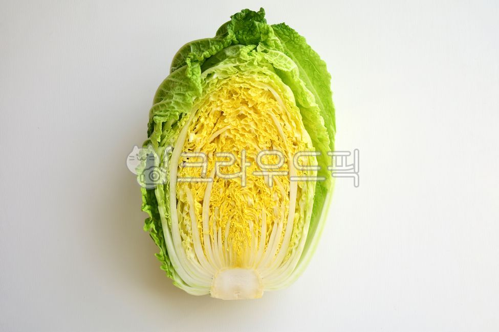 cabbage leaves,cabbage,half,cut,cross section of cabbage,Agricultural products,section,crops,vegetable,give up cabbage,ingredients,cropped,yellow inside,ingredient,kimchi,kimchi culture,leaf,food,Kimchi ingredients,give up,Banpogi,napa cabbage,foodreserve