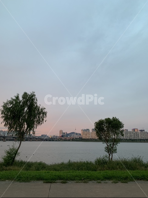 자연,nature,나무,tree,한강,자연,풍경,nature,landscape