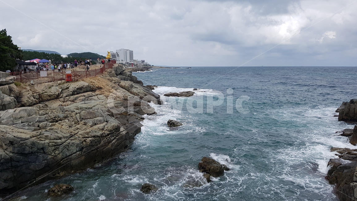 promontory,곶,해동용궁사,용궁사,부산,바다