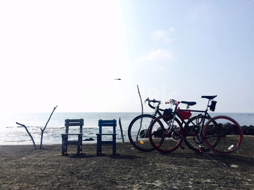 제주도,배경,바다,풍경,자전거