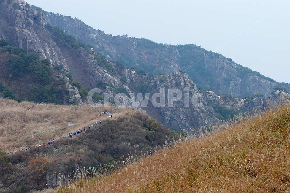 자연,산,억새,화왕산,구름,자연,풍경,nature,landscape,한국자연풍경,한국자연경관,korea nature landscape,slope,경사,outdoors,옥외
