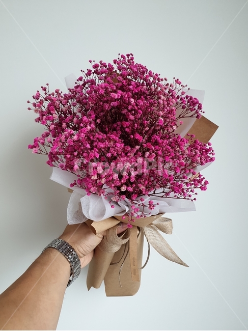 plant,식물,flower,꽃,선물,기쁨,여자친구,사랑,감사,안개꽃,말리기쉬운꽃,마음,프리저브드,시들지않는꽃,핑크안개꽃,고백,꽃다발,꽃선물,프로포즈,프로포즈선물,생일선물,여자친구선물,고백선물,꽃,flower