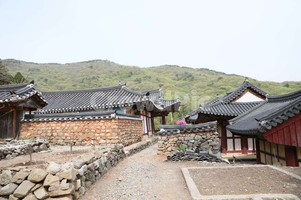 순천,선암사,만첩왕벚,왕벚꽃,겹벚꽃,봄,사찰,꽃,벚꽃,한국전통,한국문화,korean traditional,korean culture,건축물,건물외관,exterior,building,structure,architecture,construction
