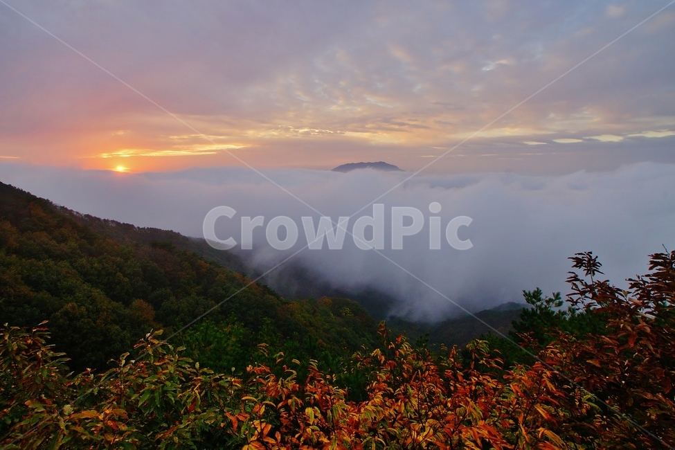 식장산,대전관광,일출,풍경,운해,자연,풍경,nature,landscape,weather,날씨,outdoors,옥외