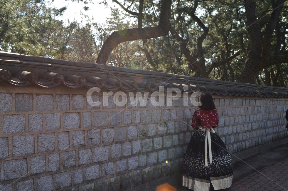 한복,경주,햇살,한국,돌담길,기다림,분위기,고요,한복,한국전통의상,hanbok,korean traditional clothes,사람,인물,인간,human,person,여성,여자,woman,female,lady