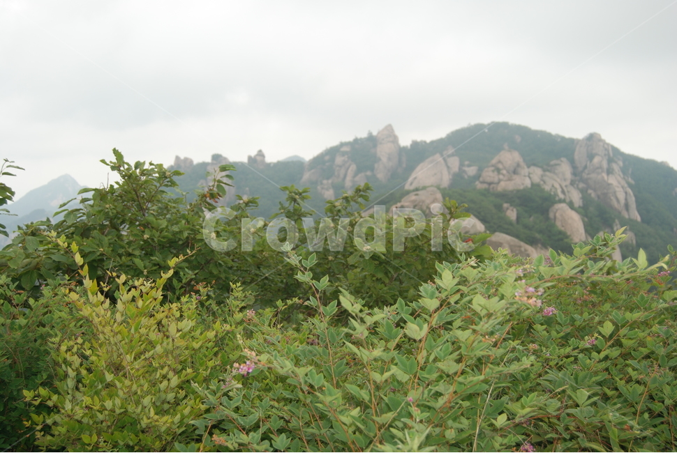 summer,hikingtrail,tree,산,자연,자연,풍경,nature,landscape,slope,경사,outdoors,옥외