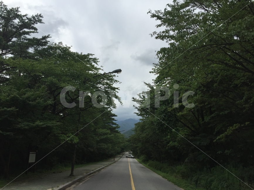 설악산,강원도,등산,도로,산밑,산,숲,하늘,여행,자연,풍경,nature,landscape,한국자연풍경,한국자연경관,korea nature landscape,교통,교통수단,traffic,transportation,road,freeway,고속 도로,highway,고속도로,asphalt,아스팔트