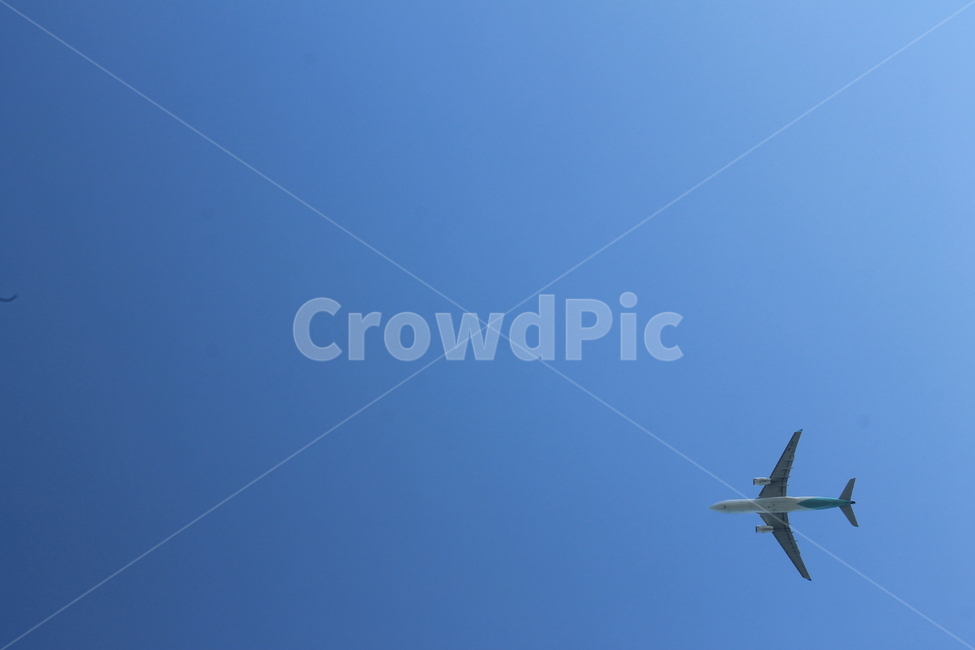 비행기,하늘,자유,여행,travel,sky,airplane