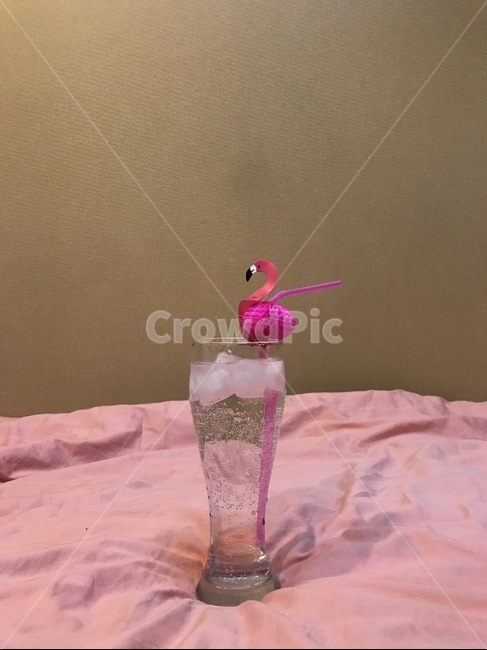 에이드,플라밍고,핑크,음료,탄산
