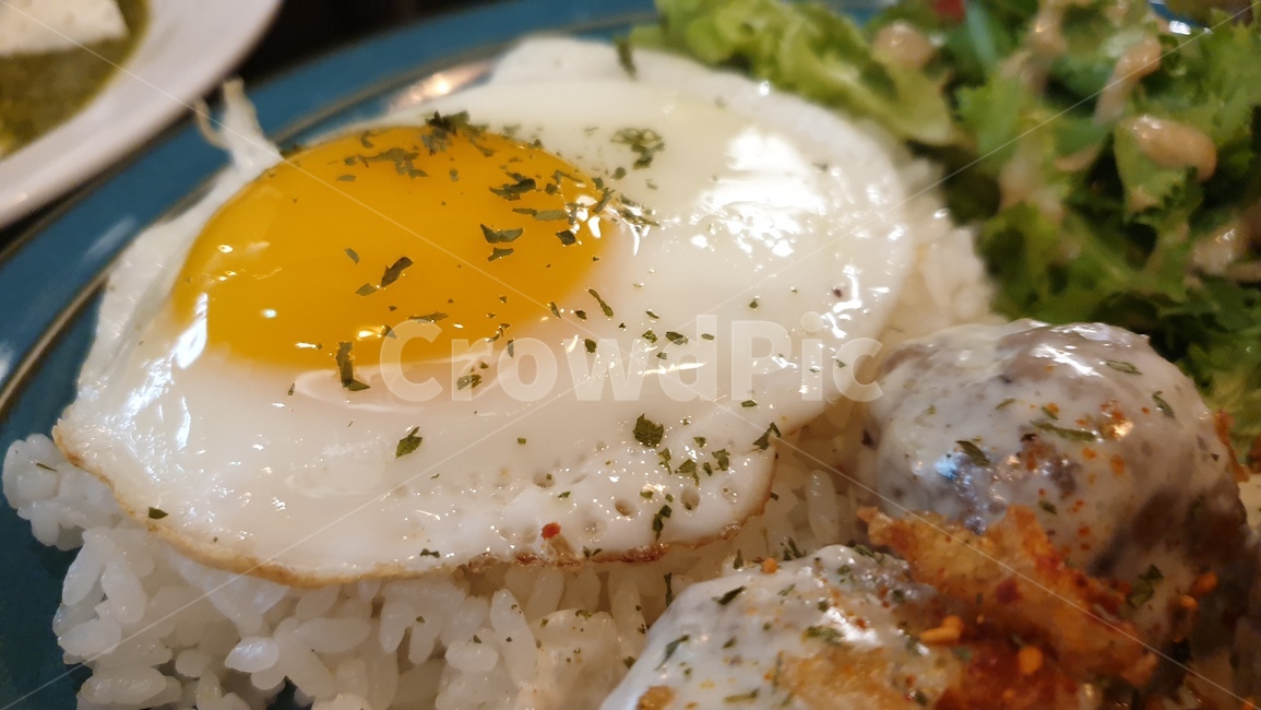 밥,미트볼,계란후라이,파슬리,샐러드,음식,food