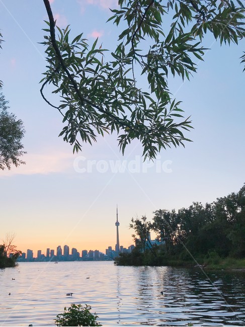 nature,자연,옥외,outdoors,toronto,sky,tree,나무,하늘,물,water,강,river,island,섬