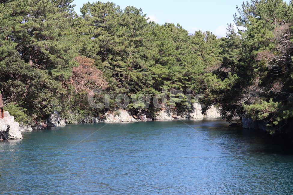 nature,자연,제주,쇠소깍,water,물