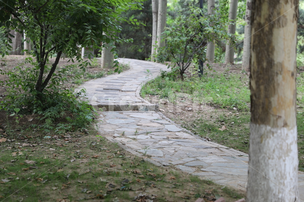 길,숲,나무,힐링,풍경,자연,풍경,nature,landscape