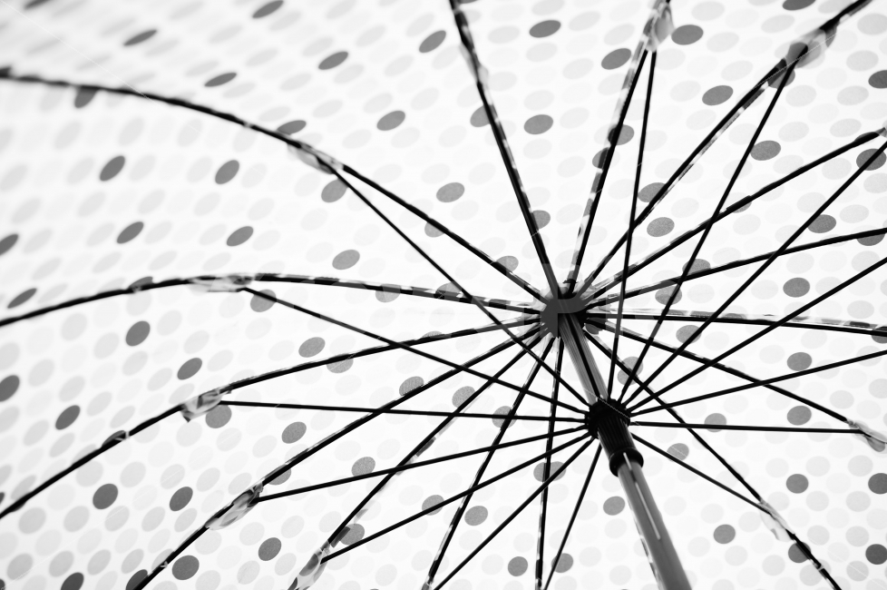 우산,무늬,땡땡이,물방울무늬,흑백,흑백사진,umbrella,BW,땡땡이우산,비,비오는날,rain,rainy,흑백,모노톤,monochrome,black and white,사물,물건,오브젝트,thing,object,matter