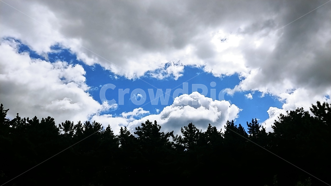 파란하늘,하늘,메타세콰이어,뭉게구름,구름,나무,구름하늘,자연환경,새파란,멋진하늘,숲,자연,산,풍경,멋진,이쁜,metasequare,쨍한,쨍한하늘,새파란하늘,배경화면,바탕화면,배경,구름낀하늘,mountain,forest,sky,nature,cloud,tree,blue,풀,grass,cloudycloud,bluesky,자연,풍경,nature,landscape,outdoors,옥외,weather,날씨