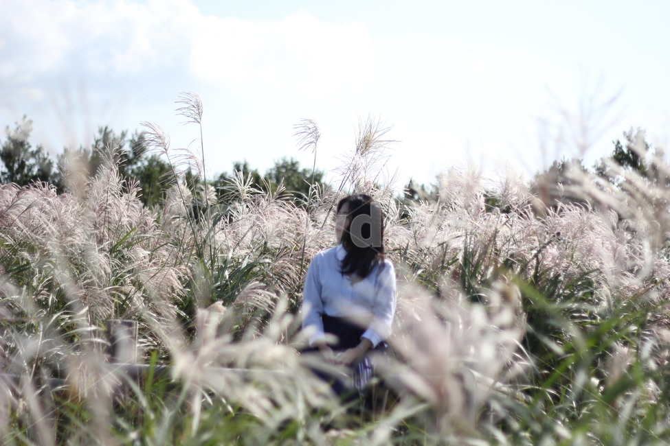 가을촬영,가을여자,여자상반신,오름,갈대,가을,새별오름,가을,계절,fall,autumn,season,식물,자연,plants,nature,여성,여자,woman,female,lady,outdoors,옥외,vegetation,초목,plant,ice,빙
