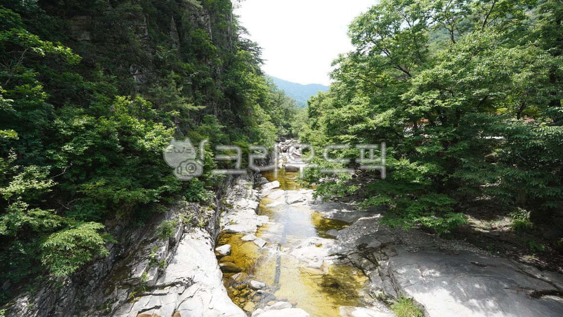 산,숲,계곡,자연,풍경,바위,기암,괴석,소나무,야생,식물,여름,물,정원,포레스트