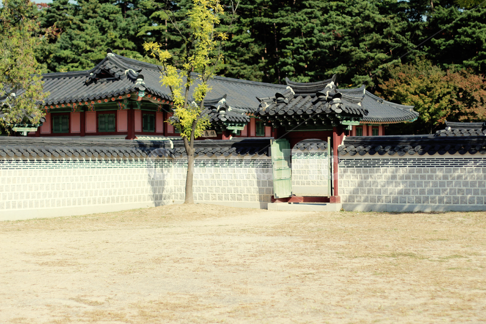 경복궁,가을경복궁,문화재,문화유산,감성사진,풍경,한국전통,한국문화,korean traditional,korean culture,건축물,건물외관,exterior,building,structure,architecture,construction