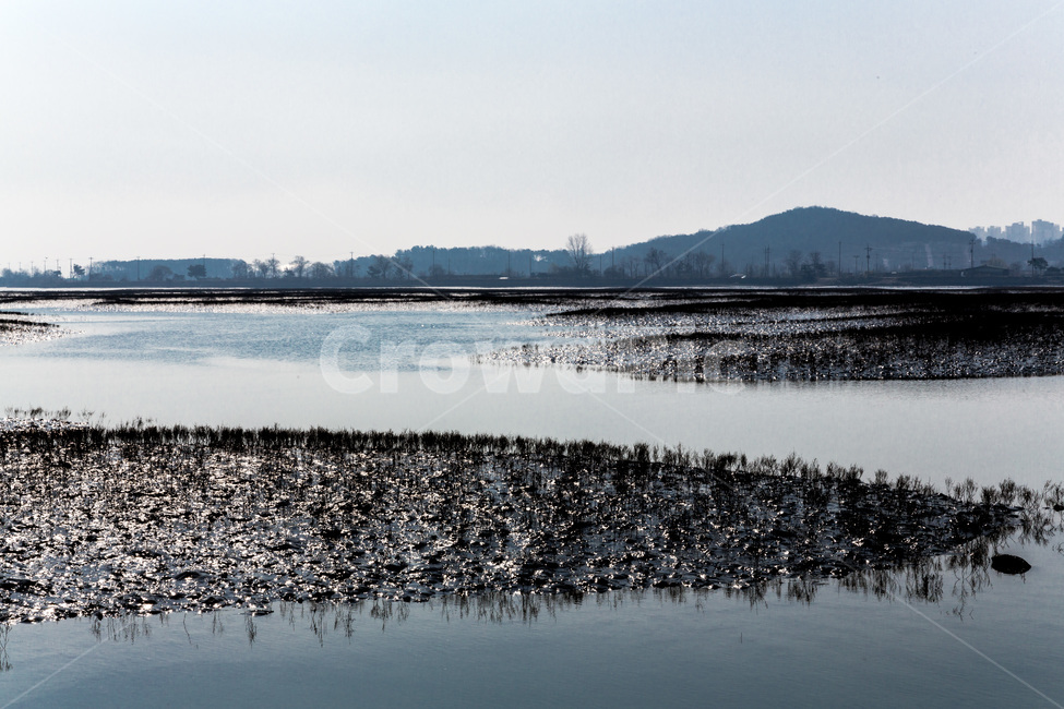 영종도,갯벌,석양,풍경,환경,바닷가,자연,풍경,nature,landscape,한국자연풍경,한국자연경관,korea nature landscape,water,물,outdoors,옥외