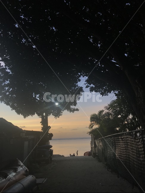 괌,해질녘,light,해변,바다,투몬비치,나무