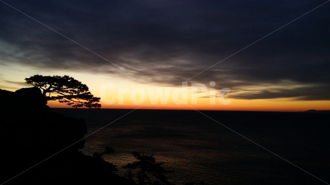 nature,자연,옥외,하늘,노을,석양,색색의,colorful,sunset,pinetree,소나무,그림자,실루엣
