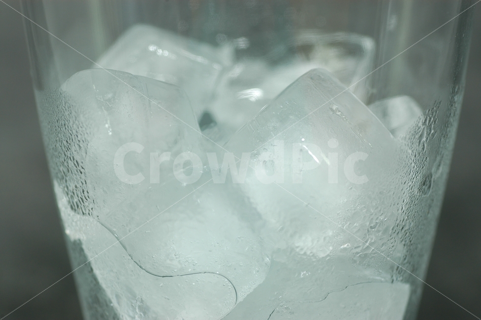 	얼음,아이스,ice,시원함,여름,물,컵,각얼음,얼음물,차가움,여름,계절,summer,season,음료수,drink,beverage,nature,자연,빙,outdoors,옥외