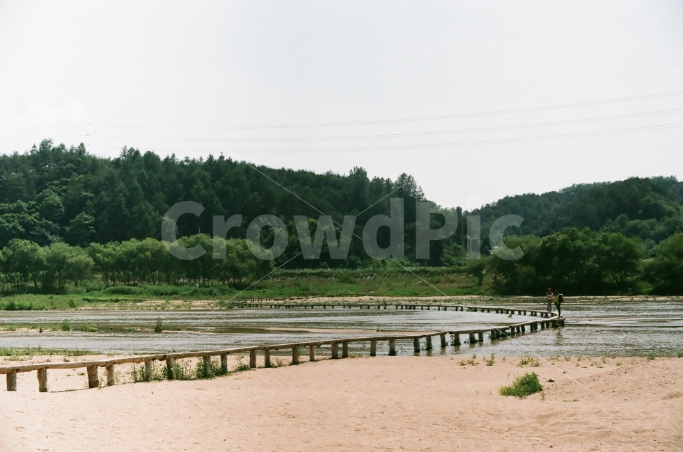 영주무섬마을,무섬마을,무섬외나무다리,외나무다리,필름사진,자연,풍경,nature,landscape,outdoors,옥외,water,물,land,땅