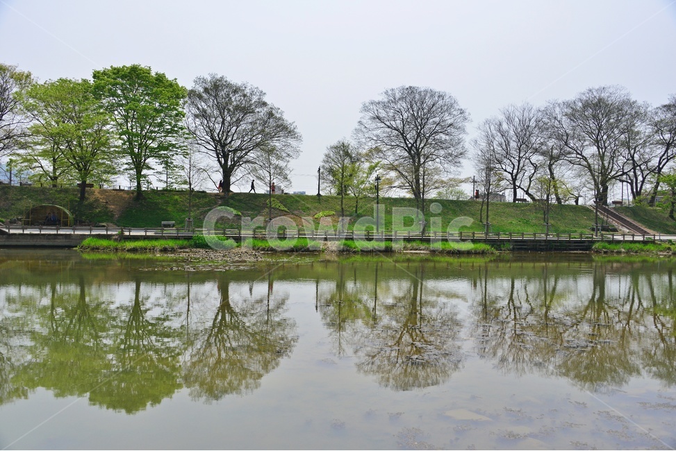 water,물,nature,자연,outdoors,옥외,plant,식물,treetrunk,나무줄기,tree,나무,bench,벤치,담양,관방천,관방제림,고목,봄,연두색,계절,반영