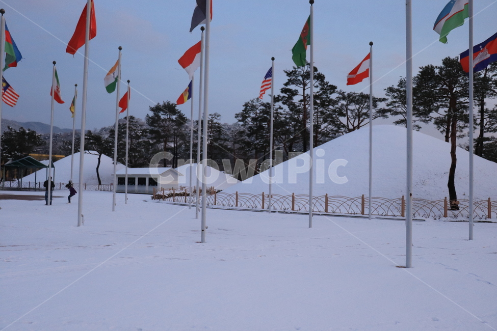 설경,겨울,경주,국기,대릉,눈덮인,고요한,평화로운,winter,snow,풍경,자연