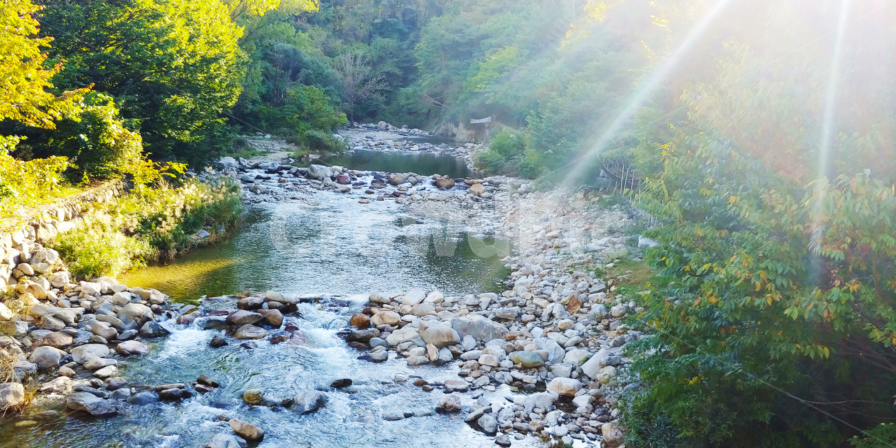자연,계곡,햇살,시원한,가을단풍,가을풍경,공기좋은,맑은물,자연,풍경,nature,landscape