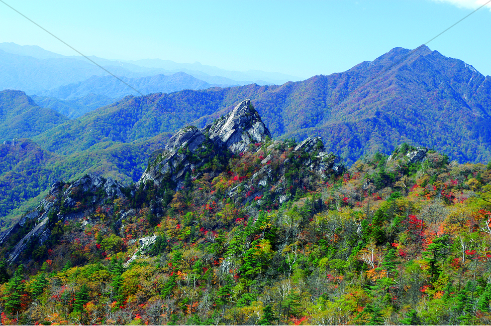 자연,설악산,단풍,가을,나무,바위,산,가을,계절,fall,autumn,season,mountain range,산맥,nature,mountain,outdoors,옥외