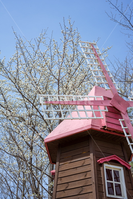 풍차,하늘,풍경,꽃,나무,건축물,건물외관,exterior,building,structure,architecture,construction