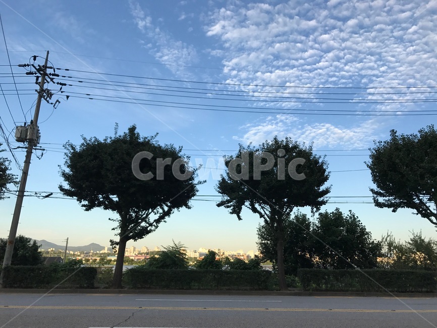 나무,tree,구름,cloud,태양,하늘,자연,풍경,nature,landscape