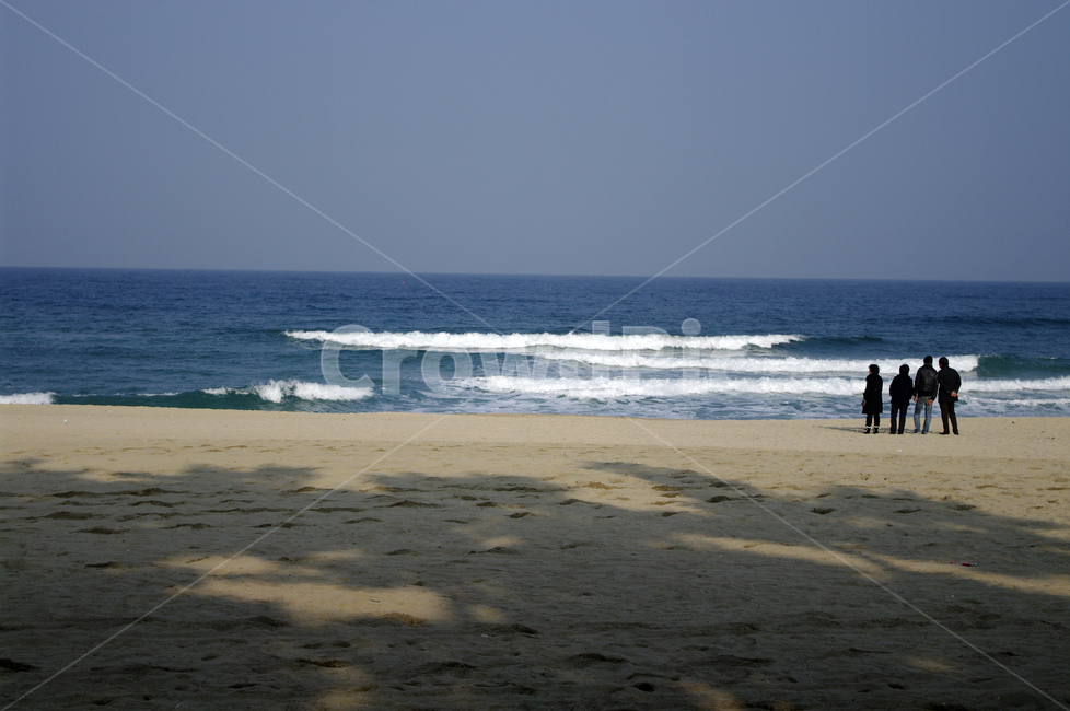 바다,경초해변,해변,파도,겨울,자연,nature,sea,바닷가,beach,해안선