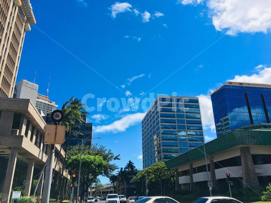 hawaii,usa,해외거리,맑은하늘,하와이,세계,나무,palmtree,하얀구름,sunny,plant,식물,grass,잔디,예쁜배경,초록,여름,휴양지,summer,파란하늘,arecaceae,야자수,bluesky,clouds,street,road,도로,교차로,city,buildings,빌딩건물