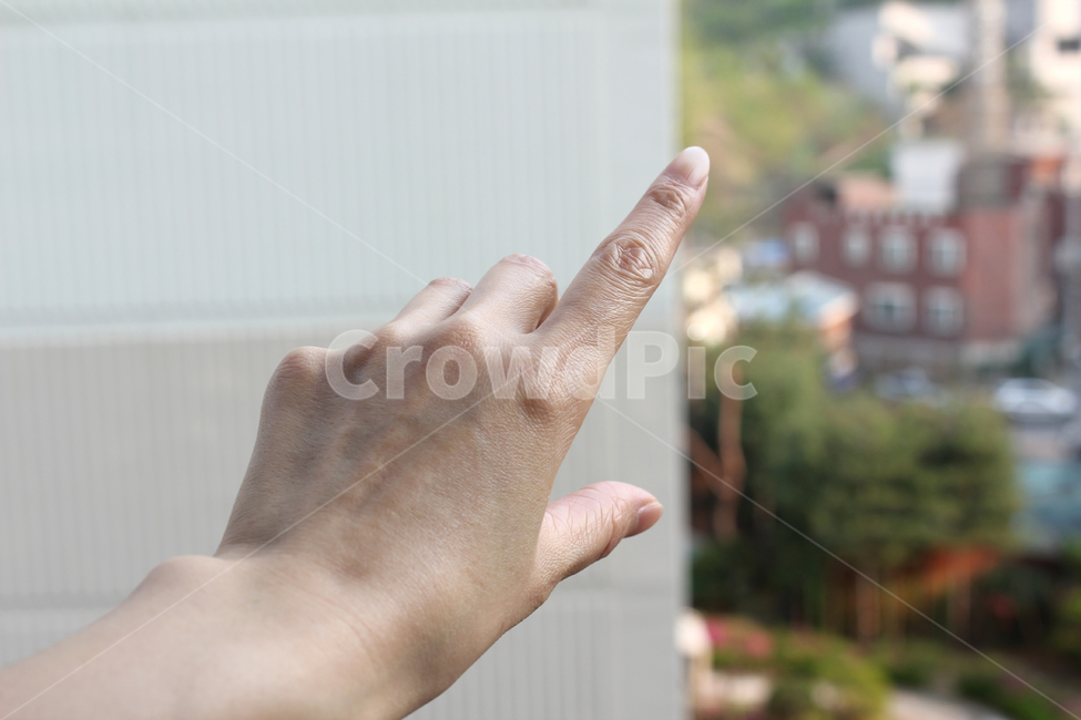 손,핸드,여자,여자손,성인,어른,사람,인체,신체,신체부위,부위,손가락,검지,팔목,방향,가리키다,사람,인물,인간,human,person,신체일부,몸,body