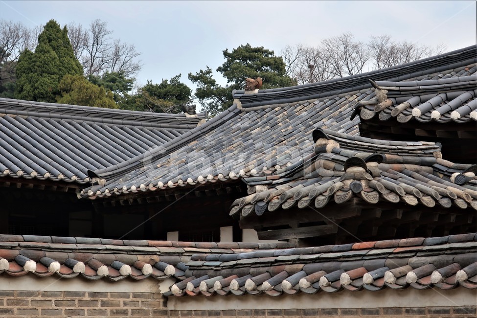 조선,전통,궁정동,칠궁,후궁,신위,유적,감실,신주,사당,한국전통,한국문화,korean traditional,korean culture,건축물,건물외관,exterior,building,structure,architecture,construction