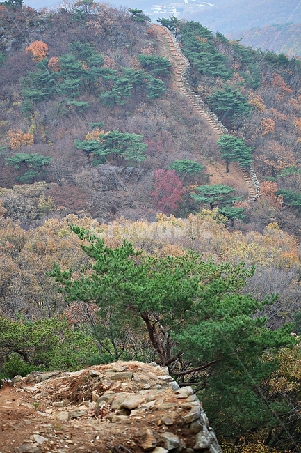 전등사,산성,성,성곽,길,둘레길,숲,숲길,담,돌담,가을,자연,풍경,식물,벽,방어벽,낙엽,단풍,가을,계절,fall,autumn,season,자연,풍경,nature,landscape