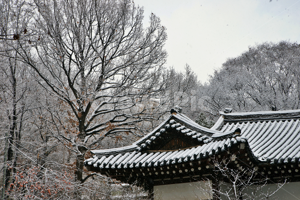 설경,보타사,서울,불교,사찰,눈,겨울,암자,처마,겨울,계절,winter,season,한국전통,한국문화,korean traditional,korean culture,건축물,건물외관,exterior,building,structure,architecture,construction