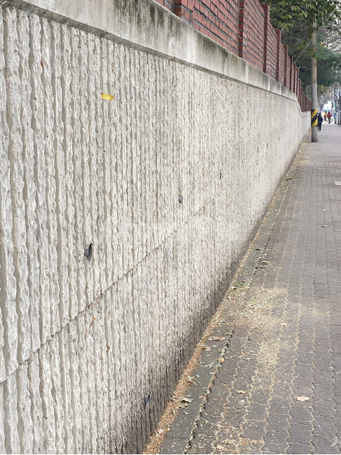 담,벽,wall,벽돌,brick,거리,street,보도블럭,sidewalkblock,보도,walkway,sidewalk,풍경,scenery,나무,tree,나무줄기,treetrunk,낙엽,deciduous,잎,leaf,건물,building,생활,life,바닥,땅,ground,floor,flooring,판석,flagstone,길,road