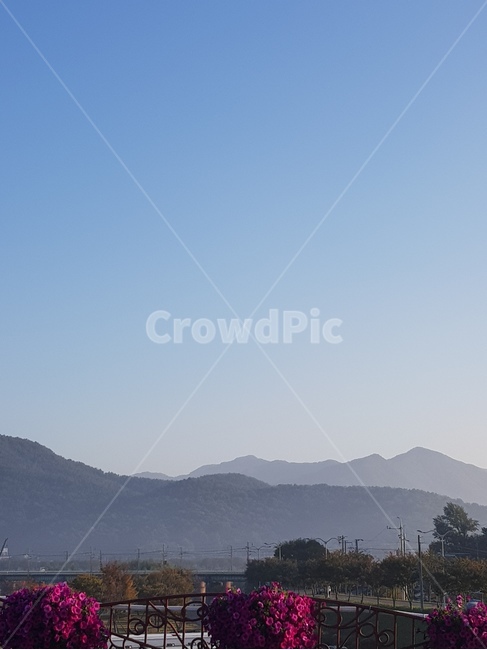 nature,산,mountain,안개,꽃