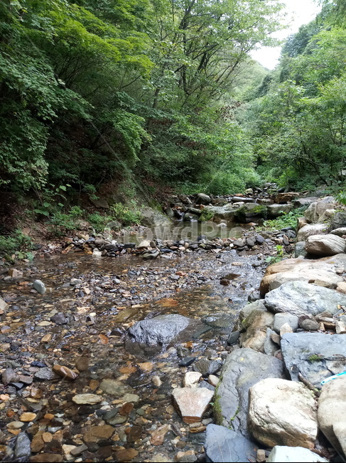 nature,자연,water,outdoors,옥외,rubble,파편,계곡,자연,풍경,nature,landscape,한국자연풍경,한국자연경관,korea nature landscape,물