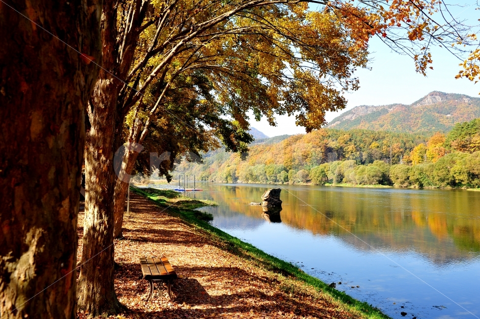 송호리,여행,캠핑장,사지출사지,충북영동,가을,계절,fall,autumn,season,자연,풍경,nature,landscape,한국자연풍경,한국자연경관,korea nature landscape,식물,plants,나무,trees,wood,water,물,outdoors,옥외,plant,tree trunk,나무 줄기,tree