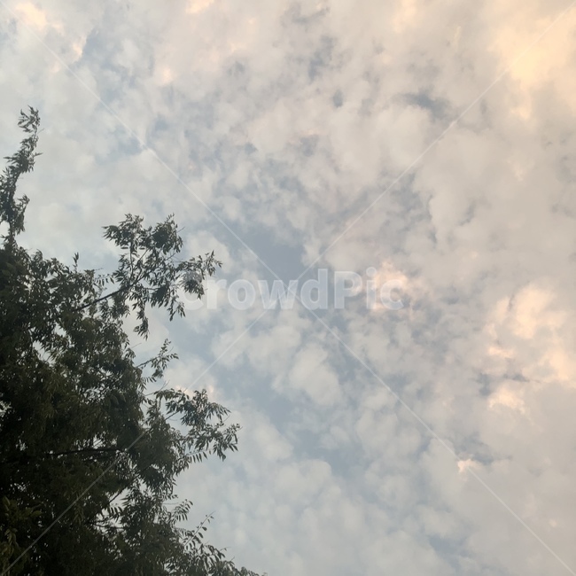 자연,nature,구름,outdoors,하늘,sky
