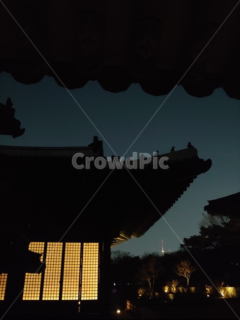 궁,밤,korea,창경궁,서울,노을빛,하늘,저녁,changgyeonggung,seoul,처마,한옥,궁궐,한국,야경,밤,풍경,nightscape,night,landscape,한국전통,한국문화,korean traditional,korean culture,건축물,건물외관,exterior,building,structure,architecture,construction,건물,worship,예배,pagoda,탑,shrine,신사
