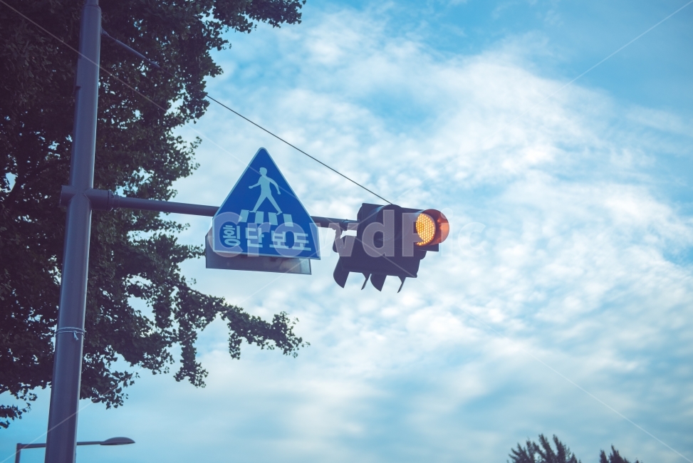 night view,NIKON,Character,nature,city,instadaily,Nikon Imaging Korea,photo,nikon,seoul,D750,korea,crosswalk,Jiro Ball,daily,dailylife,sight,Traffic Light,snap