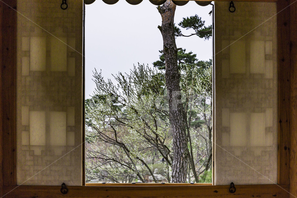 Yongin Hoam Art Museum,spring,pine tree,sight,Gwaneumjeong,sperm,garden,Tourist destination,windows,support