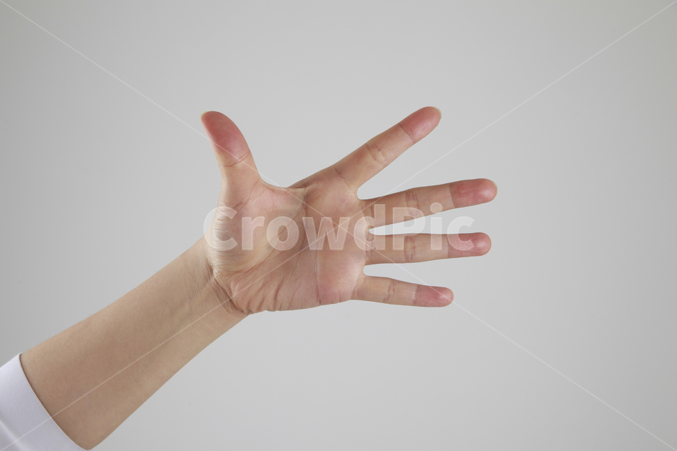 손,핑거,손가락,손모양,여러가지손모양,손포즈,손가락포즈,사람,인물,인간,human,person,신체일부,몸,body,손,제스처,표시,손짓,표현,gesture,hand,sign,expression