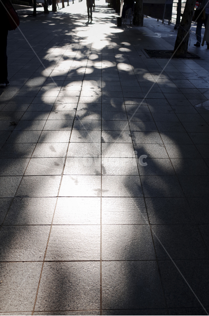 path,통로,flagstone,판석,walkway,floor,바닥,human,인간,person,사람,sidewalk,보도,그림자,shadow