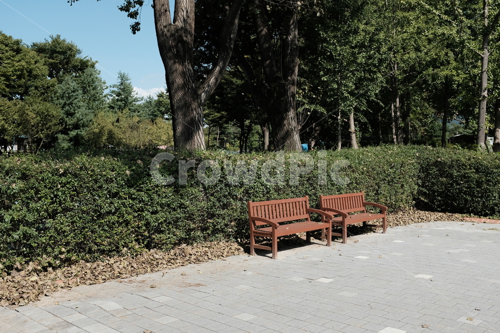 벤치,bench,여유로움,여유,가을,한가로움,fall,autumn,공원,자연,풍경,nature,landscape,plant,식물,tree,나무